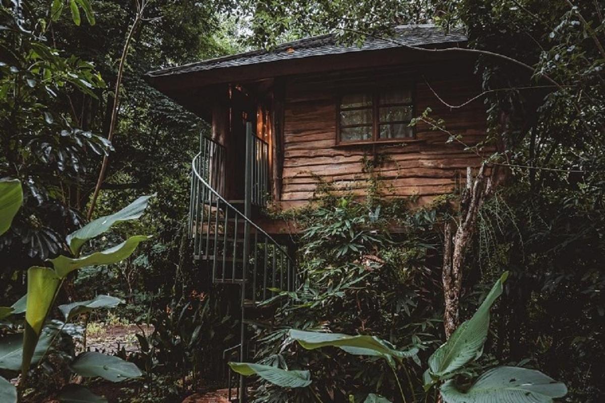 Roots Tree House Villa Uluwatu  Ngoại thất bức ảnh