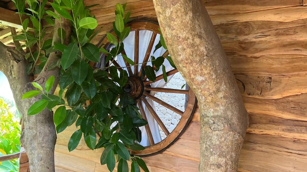 Roots Tree House Villa Uluwatu  Phòng bức ảnh