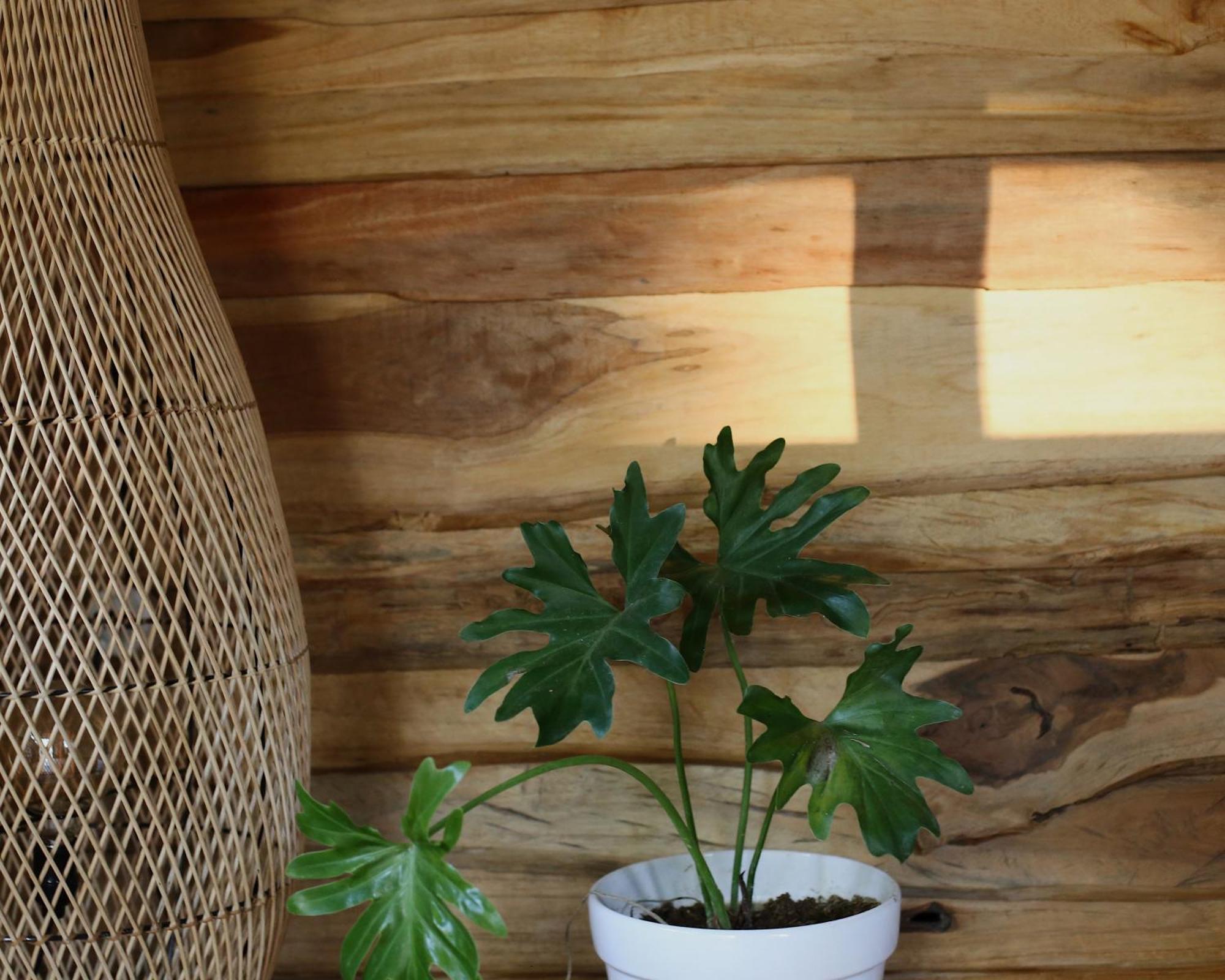 Roots Tree House Villa Uluwatu  Phòng bức ảnh